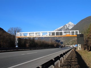 IMG 1571 (Medium)