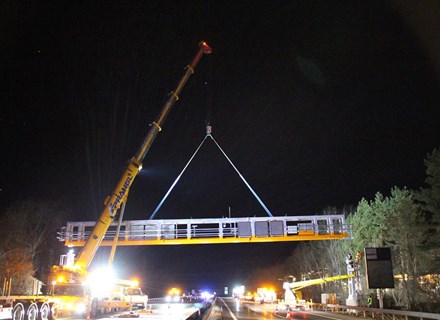 IMG 1559 (Medium)